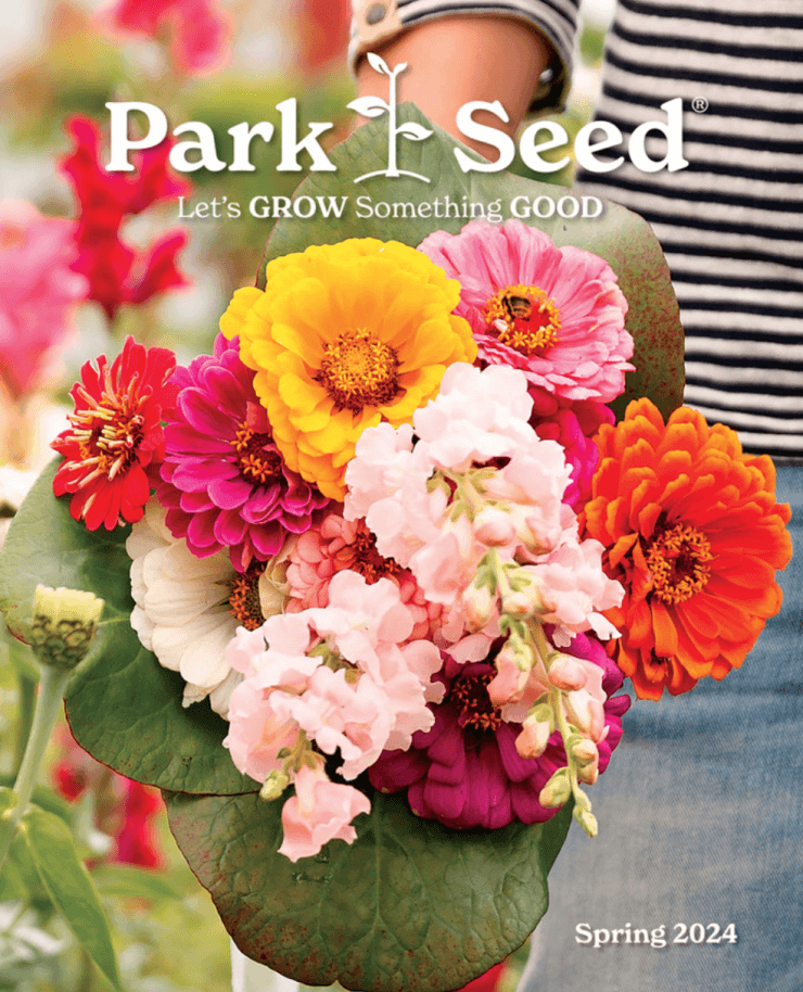 park seed catalog